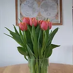 Cosy Garden Familie Tot 4 Personen Op De Veluwe Bungalowpark De Kern * Putten