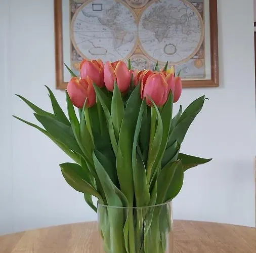 Cosy Garden Familie Tot 4 Personen Op De Veluwe Bungalowpark De Kern * Пюттен