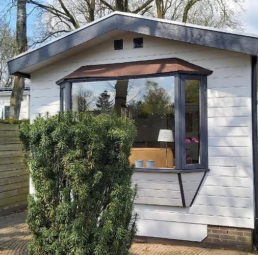 Cosy Garden Familie Tot 4 Personen Op De Veluwe Bungalowpark De Kern *